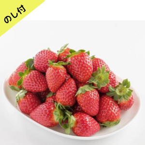 まりひめ(鞠姫)【のし付き】