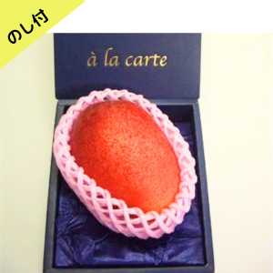 完熟マンゴー【のし付】